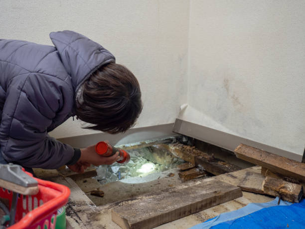 Forensic Mold Investigation in Woodworth, LA